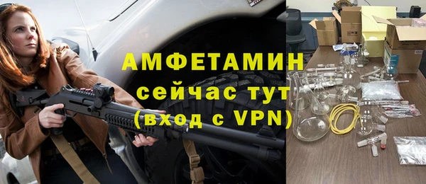 трава Няндома