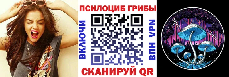 Псилоцибиновые грибы прущие грибы  Пермь 